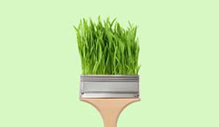 A paint brush made from grass