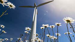 Wind turbine and field of daisies