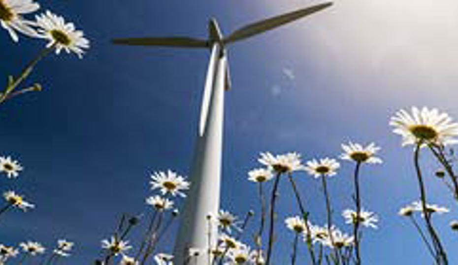 Wind turbine and field of daisies