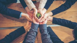 Hands coming together holding a green plant