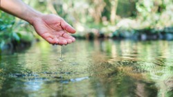 Hand touching water in a pond