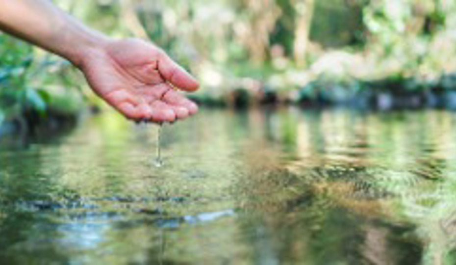 Hand touching water in a pond