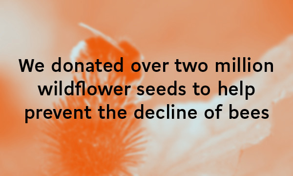 We donated over two million wildflower seeds to help prevent the decline of bees