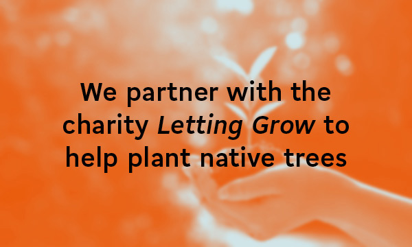 We partner with the charity Letting Grow to help plant native trees