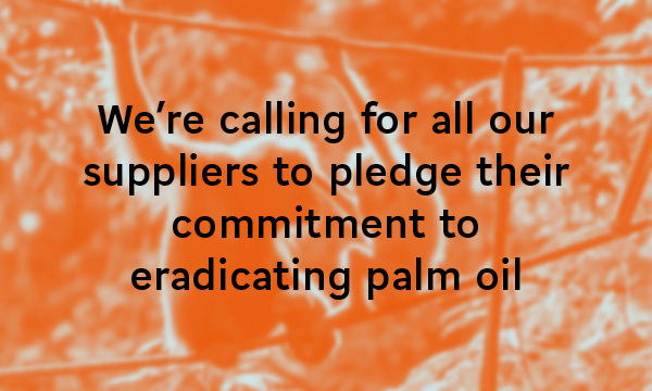 We're calling for all our suppliers to pledge their commitment to eradicating palm oil