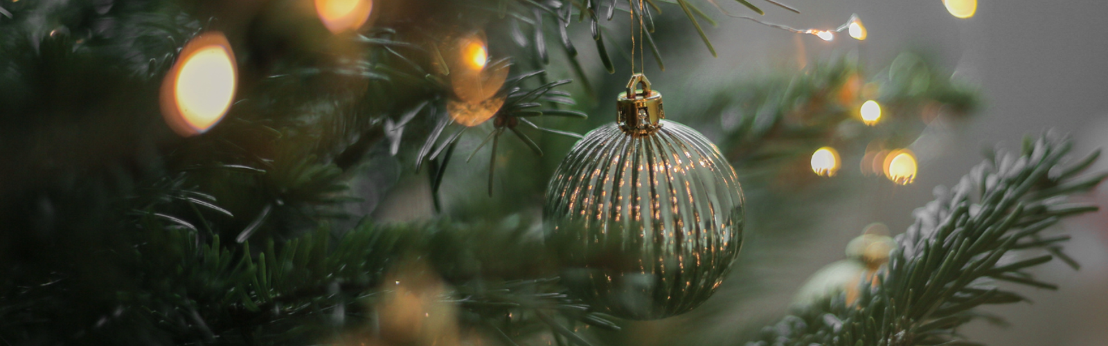 Silver bauble on a Christmas tree